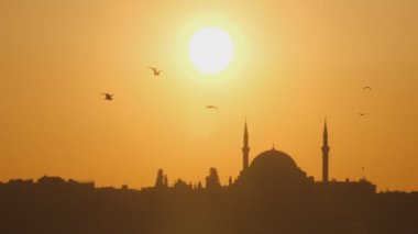 İstanbul 'da günbatımında caminin önünden uçan martıların yavaş çekim klibi, hindi