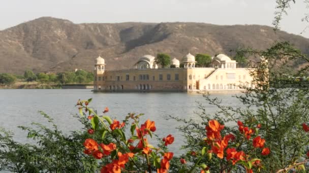 Jal Mahal Palácio Com Flores Bougainvillea Primeiro Plano Jaipur Índia — Vídeo de Stock