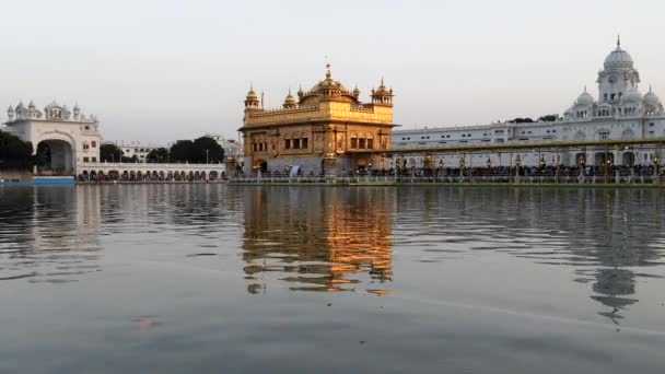 Eine Weitwinkelaufnahme Des Wunderschönen Goldenen Tempels Bei Sonnenuntergang Amritsar Indien — Stockvideo