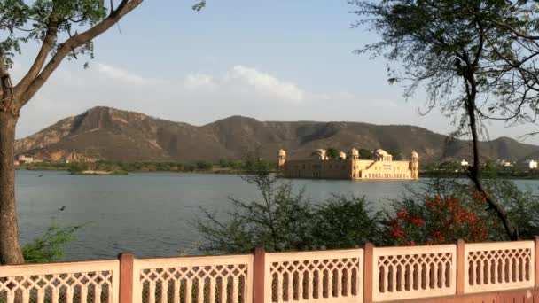 Bred Bild Jal Mahal Palats Inramad Träd Och Vägg Jaipur — Stockvideo