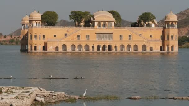 Uma Vista Tarde Palácio Jal Mahal Com Egret Costa Jaipur — Vídeo de Stock