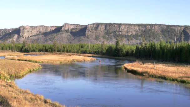 Довгий Знімок Рибалки Мухи Кидається Річку Медісон Національному Парку Хеллоустон — стокове відео
