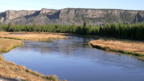 Szerokie Ujęcie Człowieka Łowiącego Ryby Madison River Parku Narodowym Yellowstone — Wideo stockowe
