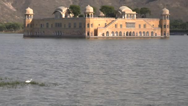 Uma Vista Tarde Palácio Jal Mahal Egret Wading Jaipur Índia — Vídeo de Stock
