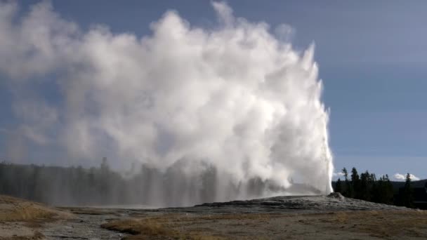 Plan Après Midi Vieux Fidèles Éruption Dans Parc National Yellowstone — Video