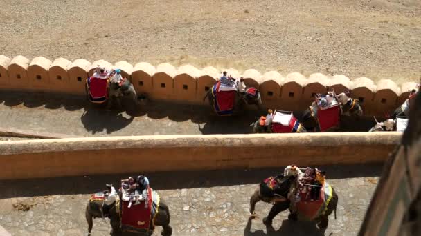 Γενικά Θέα Των Τουριστών Ιππασία Ελέφαντες Στο Φρούριο Κεχριμπάρι Στο — Αρχείο Βίντεο