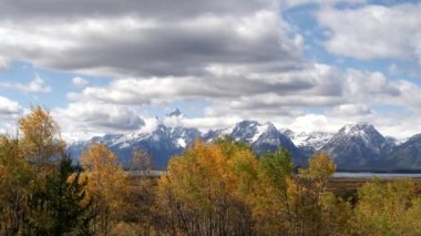 Wyoming, ABD 'deki Grand Teton Ulusal Parkı' ndaki söğüt düzlüklerinde sonbahar yeşilliklerinde kavak ağacı klipsleri açıyor.