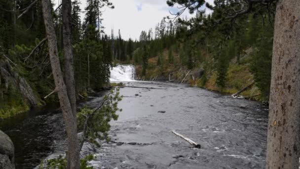 Ampla Vista Das Quedas Lewis Parque Nacional Yellowstone Nos Estados — Vídeo de Stock