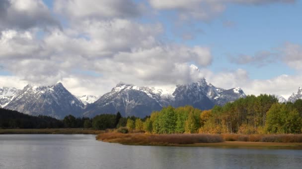 Morning View Fall Colors Oxbow Bend Grand Teton National Park — Stock Video