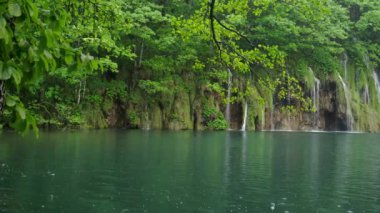 Yağmurlu bir bahar gününde Hırvatistan 'daki Plitvice Gölleri' ndeki bir şelale ve gölün kenarında milli park