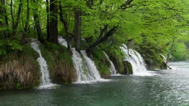 Kleine Wasserfälle Und Überhängender Wald Kozjak See Nationalpark Plitvicer Seen — Stockvideo