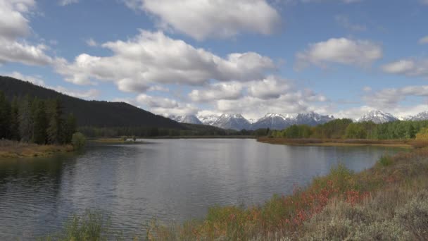 Vue Grand Angle Moran Oxbow Bend Dans Grand Teton Parc — Video