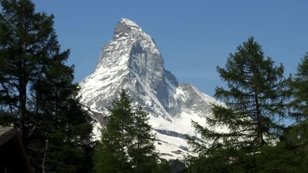スイスのゼルマットにある松の木に囲まれたマッターホルン山の頂上でズームアップ — ストック動画