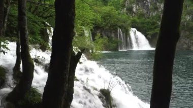 Hırvatistan 'daki Plitvice göllerindeki ağaç gövdeleri tarafından çerçevelenmiş şelale manzarası