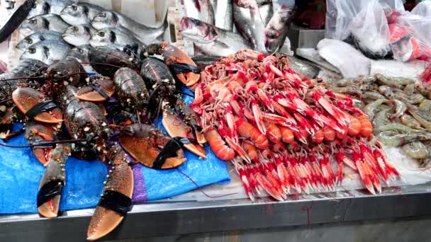 Färska Skaldjur Som Visas Fiskmarknad Casablanca Morroco — Stockvideo