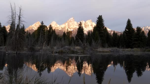 Φθινοπωρινή Λήψη Του Grand Teton Και Αντανάκλασή Του Μια Λίμνη — Αρχείο Βίντεο