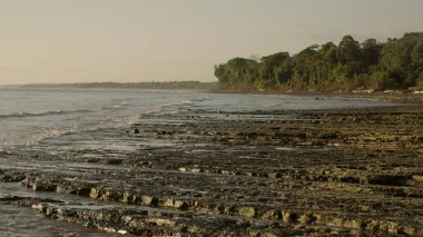 Akşamın ilerleyen saatlerinde, Kosta Rika 'nın Corcovado Ulusal Parkı' ndaki Playa Sirena Plajı 'nın kuzeyine bakıyor.