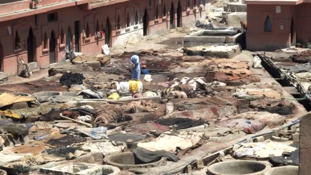 Wide Shot Tannery Workers Ancient Tanneries Marrakesh Morroco — Stock Video