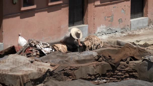 High Shot Tannery Worker One Ancient Tanneries Marrakesh Morroco — Stock Video