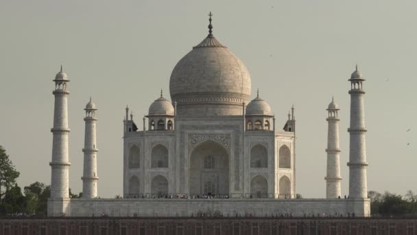 Tarde Primer Plano Del Taj Mahal Mehtab Bagh Orilla Norte — Vídeos de Stock