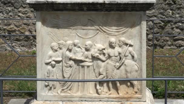 Marmoraltar Mit Geschnitztem Flachrelief Eines Opfernden Stieres Tempel Des Vespasian — Stockvideo