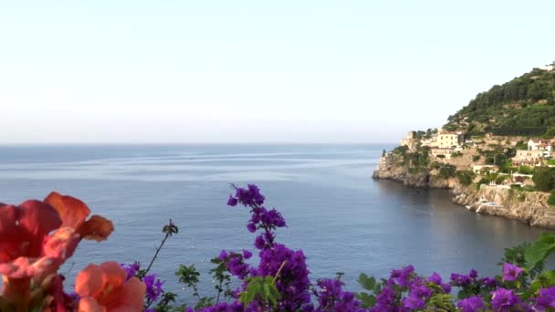 Pan Amalfi Coast Colorful Flowers Foreground Southern Italy — Stock Video