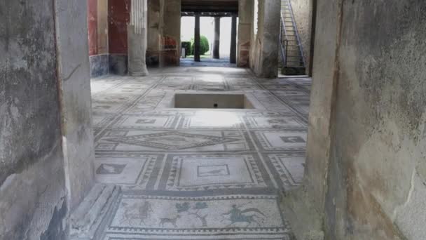 Talya Napoli Yakınlarındaki Pompei Harabelerindeki Bir Evde Centaur Mozaiğine Yakınlaş — Stok video