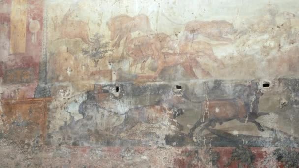 Zoom Een Jachtscène Fresco Het Huis Van Ceii Bij Pompeii — Stockvideo