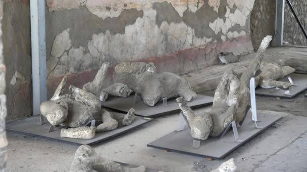 Plusieurs Des Célèbres Moulages Plâtre Des Victimes Des Ruines Pompéi — Video