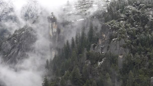 在美国加州约塞米蒂国家公园的约塞米蒂山谷的悬崖和树木上 冬季的雾气回旋着 — 图库视频影像