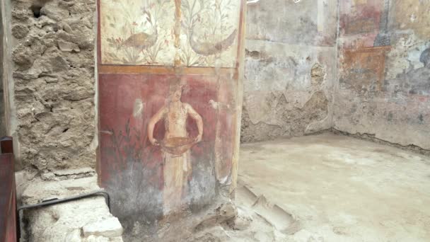 Fresco Sirviente Sosteniendo Plato Servir Una Pared Las Ruinas Pompeya — Vídeos de Stock