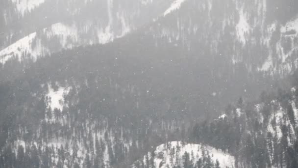 Clip Cámara Lenta Una Tormenta Nieve Durante Invierno Parque Nacional — Vídeo de stock