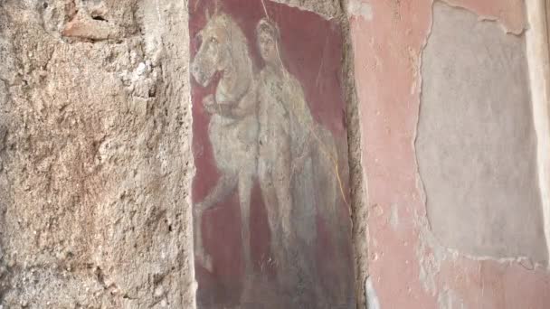 Napoli Yakınlarındaki Pompei Harabelerinde Bir Atın Yanında Duran Bir Adamın — Stok video