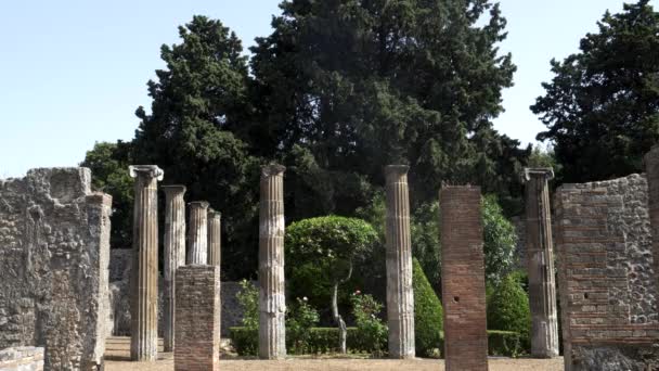 Columnas Las Ruinas Templo Pompeya Cerca Nápoles Italia — Vídeo de stock