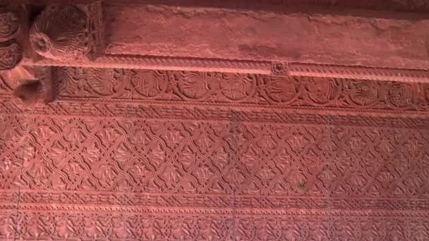Zoom Avant Sur Motif Floral Sur Mur Palais Fatephur Sikri — Video