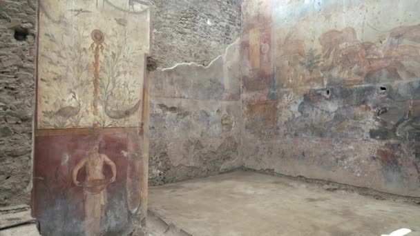 Panela Interior Casa Ceii Ruínas Pompeiii Perto Nápoles Itália — Vídeo de Stock