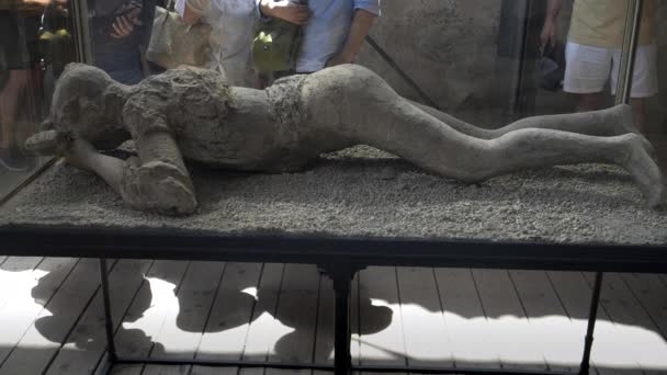Gesso Elenco Uma Vítima Feminina Uma Caixa Vidro Ruínas Pompeii — Vídeo de Stock
