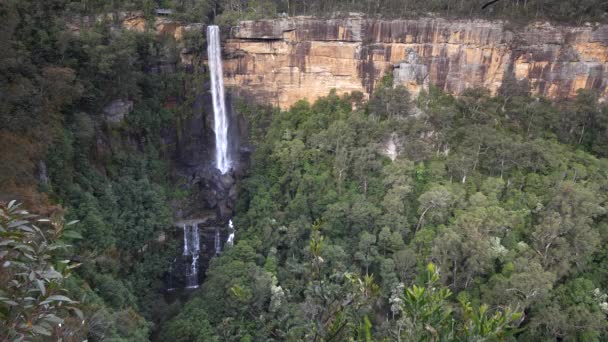 Afternoon Shot Fitzroy Falls Jersey Lookout Morton National Park Nsw — Stock Video