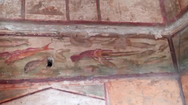 Панно Морепродуктів Малюють Стіні Будинку Руїнах Помпеї Поблизу Яблук Італія — стокове відео