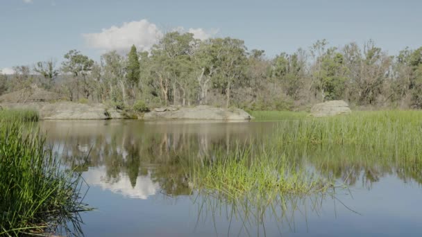 在沙丘沼泽地形成的称为蜂窝塔的岩层 沙丘沼泽是澳大利亚斯索斯州沃莱米国家公园的一条美丽而宁静的水路 — 图库视频影像