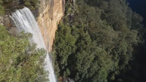 High Frame Rate Close Top Fitzroy Falls Morton National Park — Stock Video