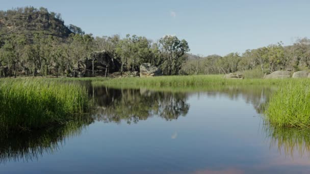 Reflections Dunns Swamp Ganguddy Beautiful Serene Waterway Wollemi National Park — Stock Video