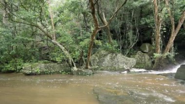 Avustralya 'nın NSW merkez sahilinde, Gosford yakınlarındaki Somersby Şelalesi' nin görüntüsü.