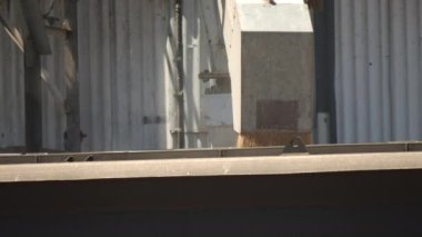 Batı NSW, Avustralya 'da kondobolin yakınlarında buğday yüklü yük treninin çok yakınında.