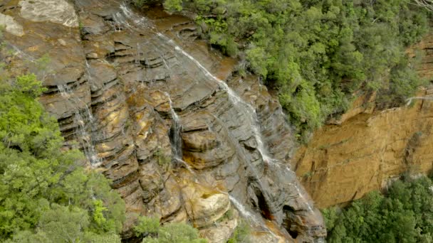 Wentworth Pada Fletcherów Oglądających Parku Narodowym Niebieskie Góry Nsw Australia — Wideo stockowe