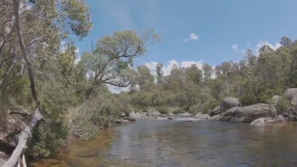 Clip Pov Fundición Una Caña Pescar Con Mosca Río Thredbo — Vídeos de Stock
