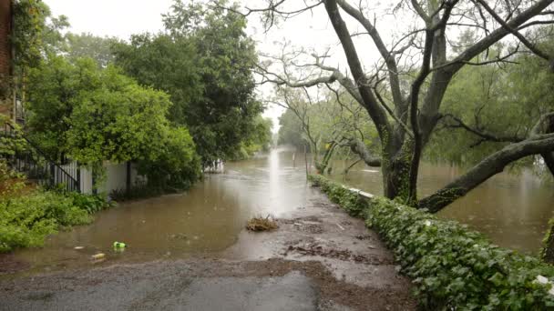 Tiro Largo Terrace Sob Água Inundação Rio Hawkesbury Windsor Nsw — Vídeo de Stock