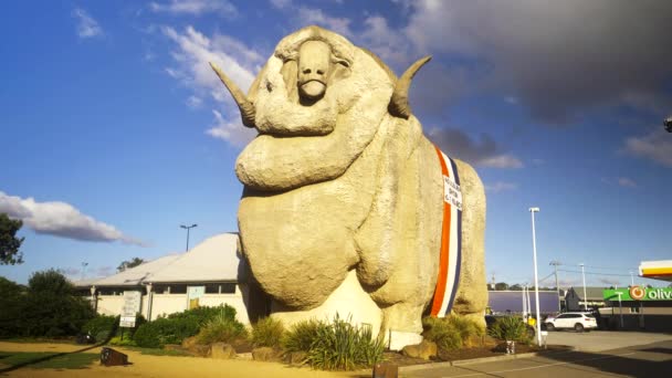 オーストラリアのニューサウスウェールズのゴールバーンにある象徴的な大きなメリノ像の前景 — ストック動画