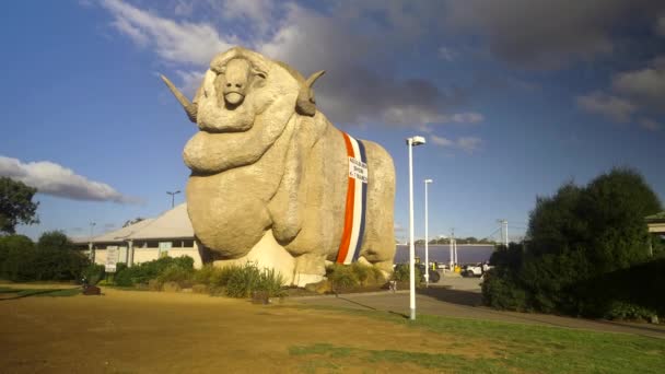 スティディカムのアプローチと オーストラリアのニューサウスウェールズのゴールバーンで大きなメリノのクリップを傾けます — ストック動画
