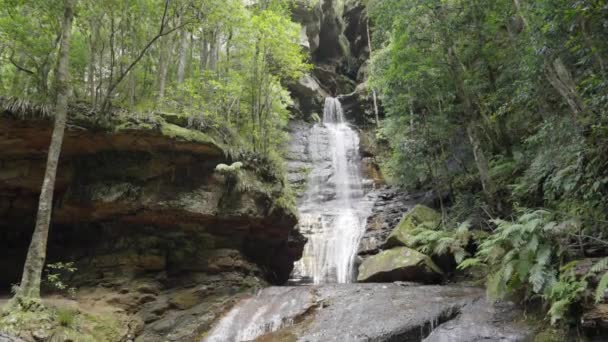 오스트레일리아 Nsw의 산맥의 Katoomba 황후의 클립을 기울이십시오 — 비디오